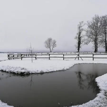 Pulilane * Le Torp-Mesnil