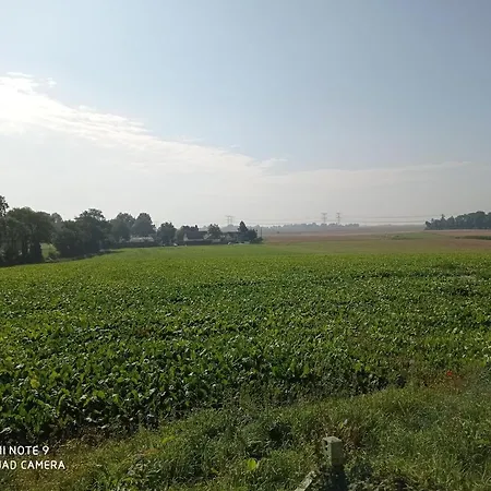 Pulilane * Le Torp-Mesnil