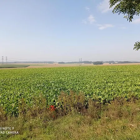Pulilane Le Torp-Mesnil
